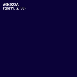 #0B023A - Black Rock Color Image