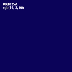 #0B035A - Gulf Blue Color Image