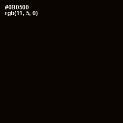 #0B0500 - Black Color Image