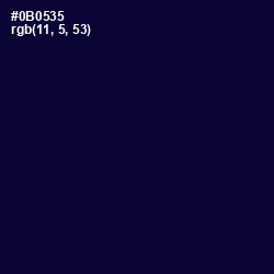 #0B0535 - Black Rock Color Image