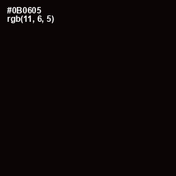 #0B0605 - Cod Gray Color Image