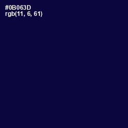 #0B063D - Black Rock Color Image