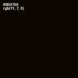 #0B0700 - Marshland Color Image