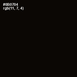#0B0704 - Cod Gray Color Image