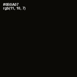 #0B0A07 - Cod Gray Color Image