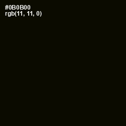 #0B0B00 - Marshland Color Image
