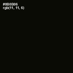 #0B0B06 - Marshland Color Image
