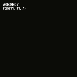#0B0B07 - Cod Gray Color Image