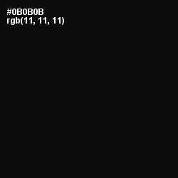 #0B0B0B - Cod Gray Color Image