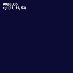 #0B0B35 - Black Rock Color Image