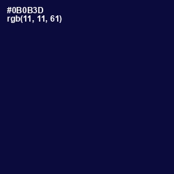 #0B0B3D - Black Rock Color Image