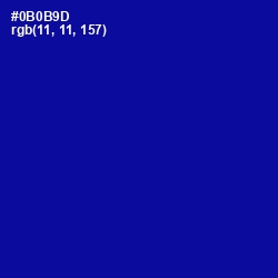 #0B0B9D - Ultramarine Color Image