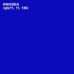 #0B0BBA - International Klein Blue Color Image