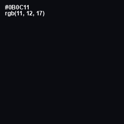 #0B0C11 - Cinder Color Image