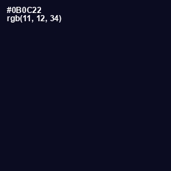 #0B0C22 - Black Pearl Color Image