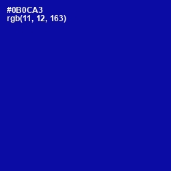 #0B0CA3 - Ultramarine Color Image