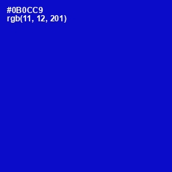 #0B0CC9 - Dark Blue Color Image