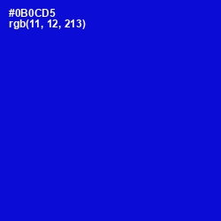 #0B0CD5 - Dark Blue Color Image