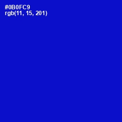 #0B0FC9 - Dark Blue Color Image