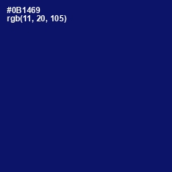 #0B1469 - Arapawa Color Image