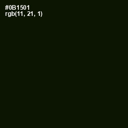 #0B1501 - Black Forest Color Image