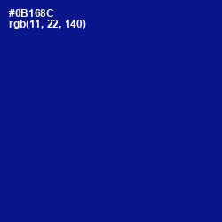 #0B168C - Ultramarine Color Image