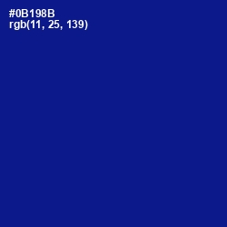 #0B198B - Ultramarine Color Image