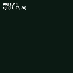 #0B1B14 - Racing Green Color Image