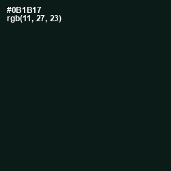 #0B1B17 - Racing Green Color Image