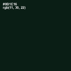 #0B1E16 - Racing Green Color Image