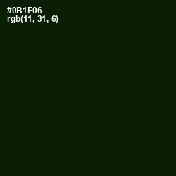 #0B1F06 - Black Forest Color Image