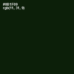 #0B1F09 - Black Forest Color Image
