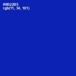 #0B22B5 - International Klein Blue Color Image