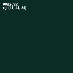 #0B2C22 - Burnham Color Image