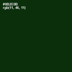 #0B2E0B - Palm Green Color Image