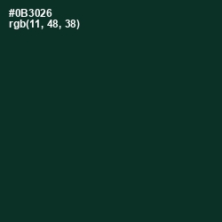 #0B3026 - Bottle Green Color Image