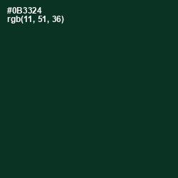 #0B3324 - Bottle Green Color Image