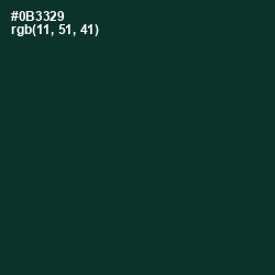 #0B3329 - Bottle Green Color Image