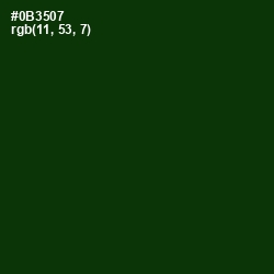 #0B3507 - Deep Forest Green Color Image