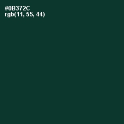 #0B372C - Bottle Green Color Image