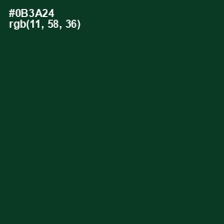 #0B3A24 - Bottle Green Color Image