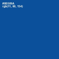 #0B509A - Congress Blue Color Image