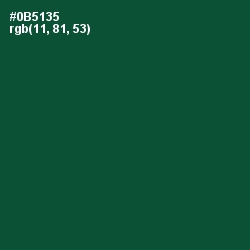 #0B5135 - Sherwood Green Color Image