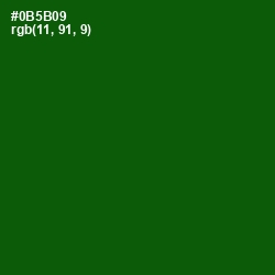 #0B5B09 - Dark Fern Color Image