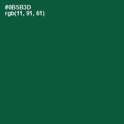 #0B5B3D - Te Papa Green Color Image