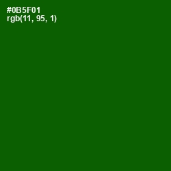 #0B5F01 - Dark Fern Color Image