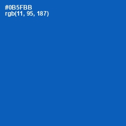 #0B5FBB - Fun Blue Color Image