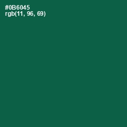 #0B6045 - Jewel Color Image