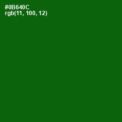 #0B640C - San Felix Color Image