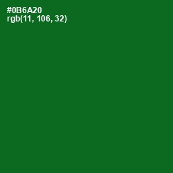 #0B6A20 - Fun Green Color Image